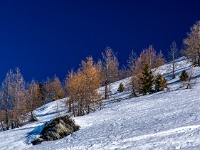 Verbier